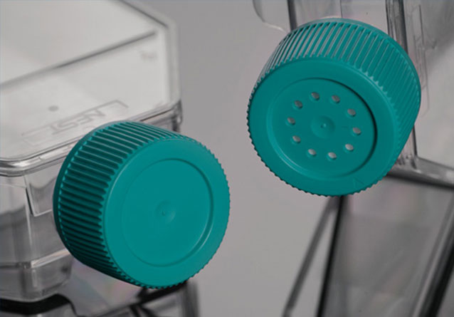 Cell culture flasks