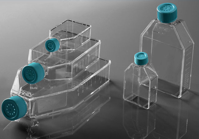 Cell culture flasks