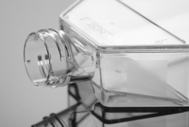 Cell culture flasks